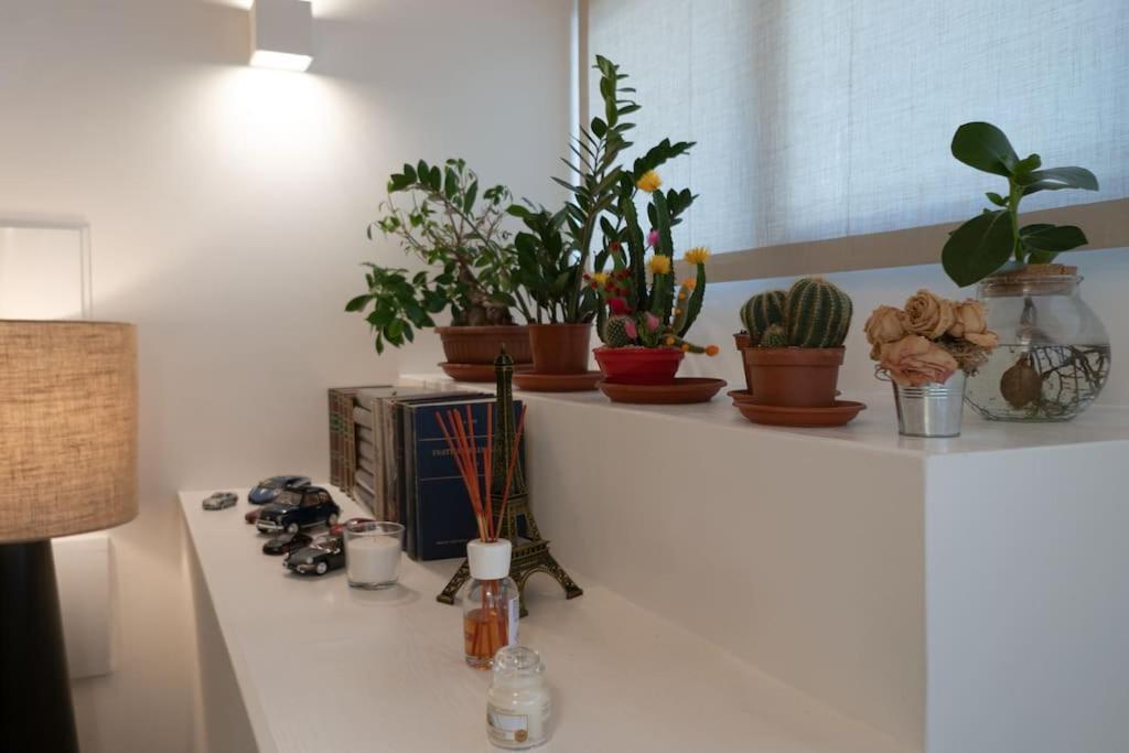 La Casa Bianca Appartement *